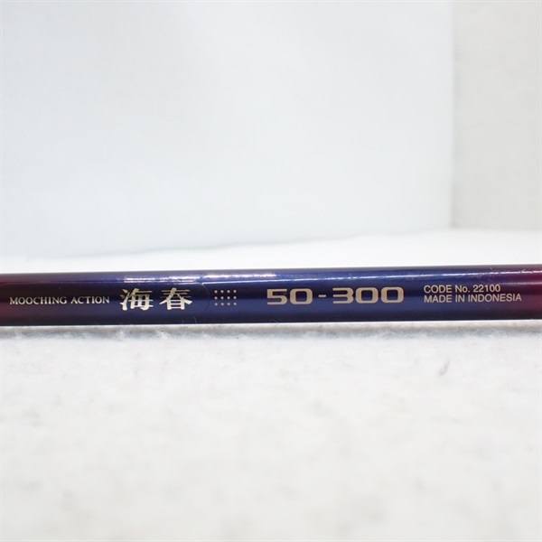 ０２海春５０－３００